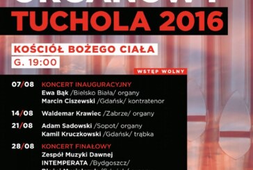 VI Letni Festiwal Organowy